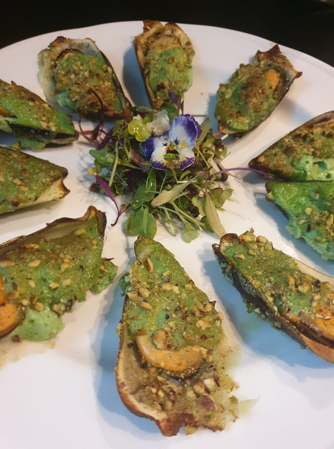 Deliciosas migas y tapas extremeñas junto a la Plaza Mayor de Cáceres con servicio de cocina non-stop.
