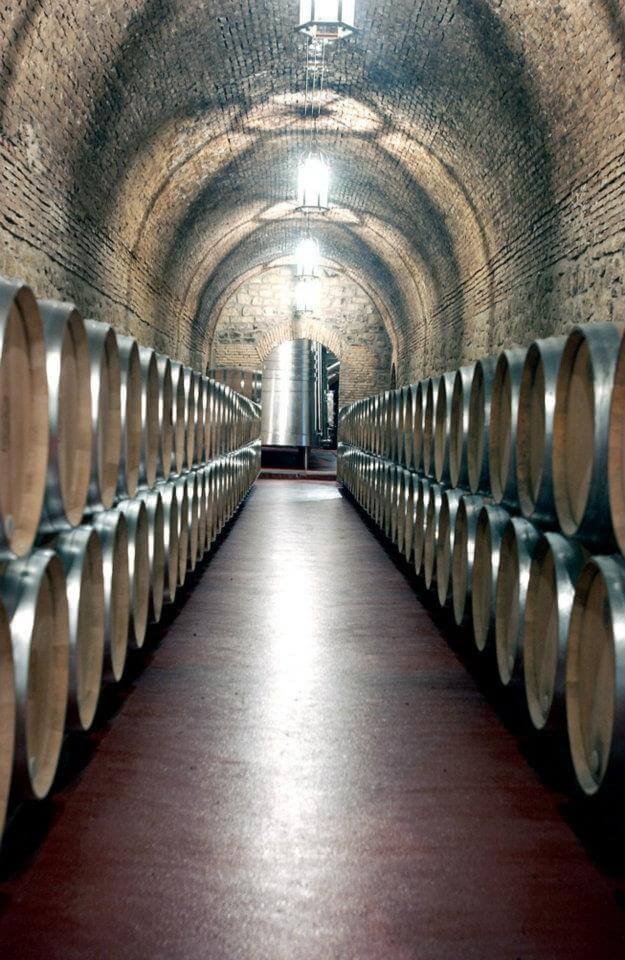 Disfruta y degusta el vino riojano en una prestigiosa bodega vinícola en Cenicero, La Rioja.           