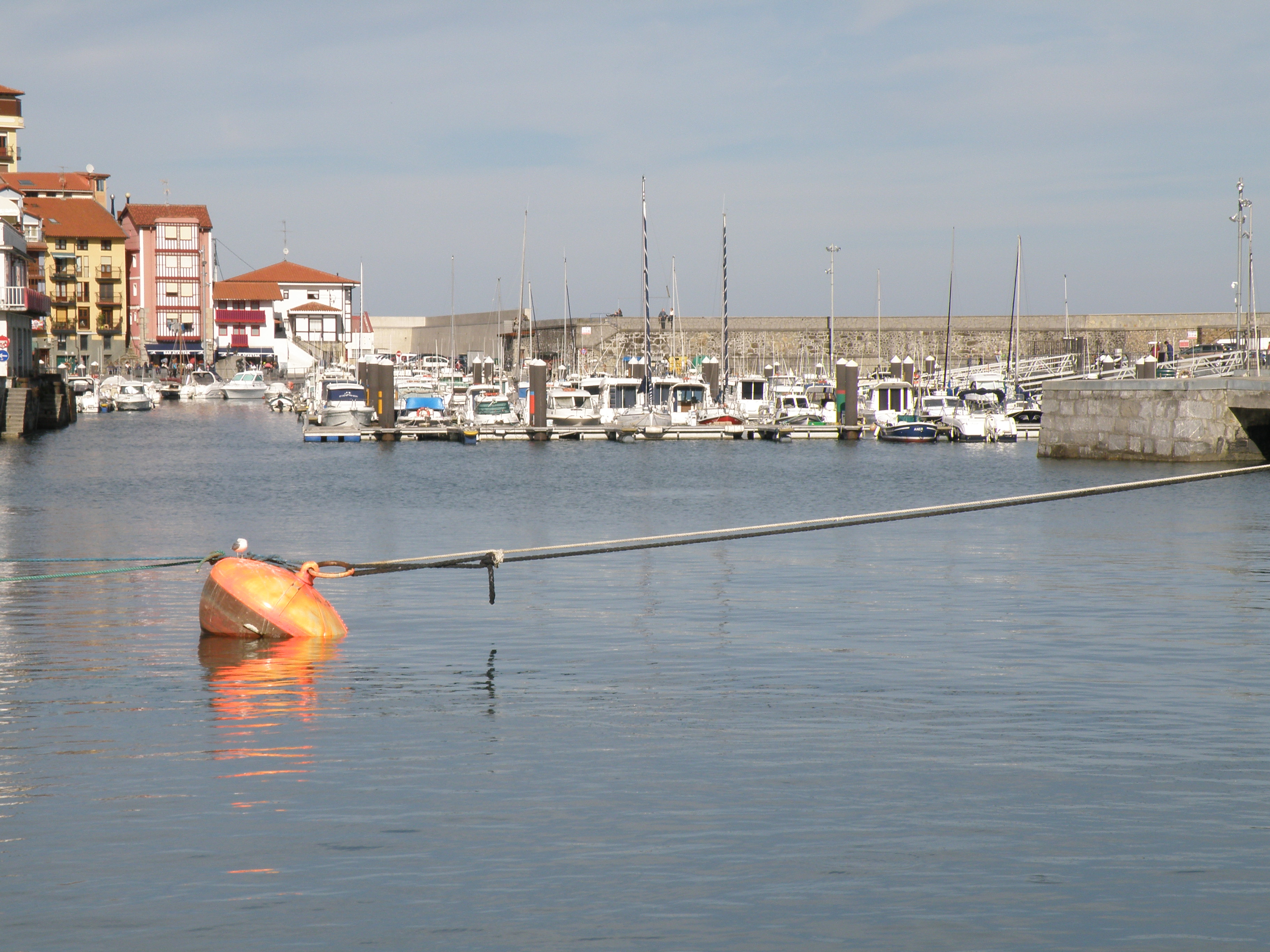 En el mismo puerto de Bermeo, especialidad en pescados y mariscos de la zona.       