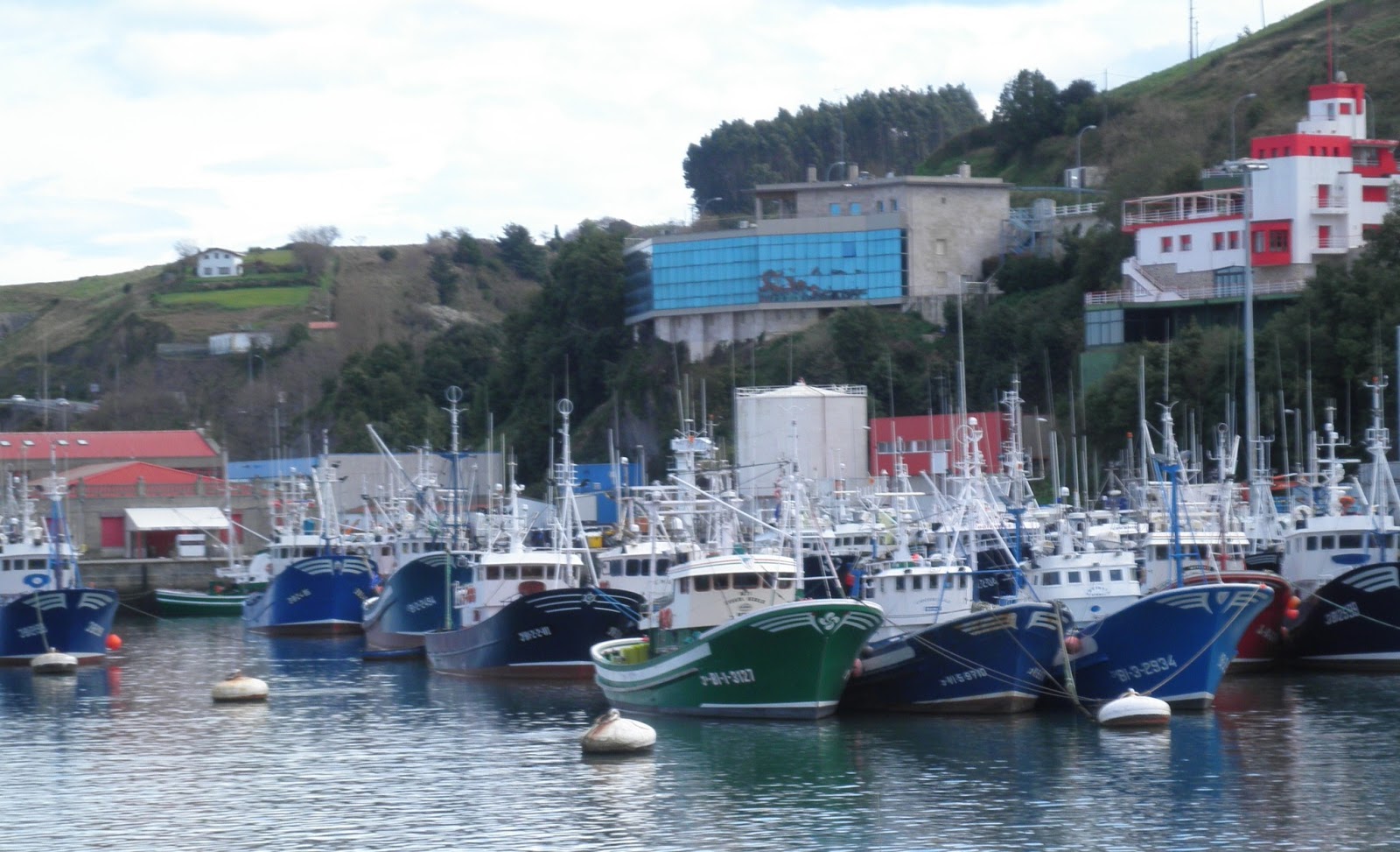En el mismo puerto de Bermeo, especialidad en pescados y mariscos de la zona.       