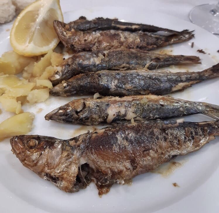 Restaurante de comida casera en el centro de Santurtzi a sólo 5 minutos a pie del puerto pesquero.                          