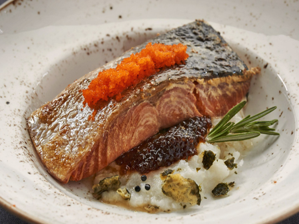 plato-salmon-1.jpg