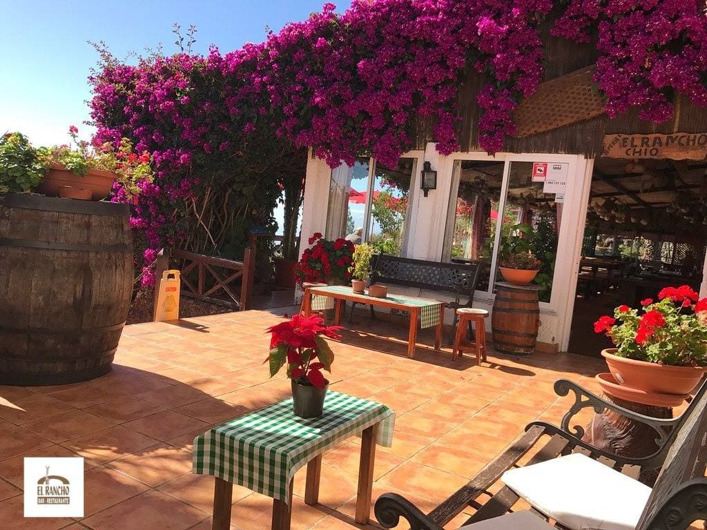 Restaurante rústico y campestre en la carretera de subida al Teide, con una cocina canaria tradicional.