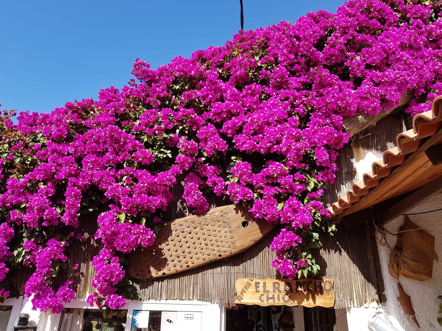 Restaurante rústico y campestre en la carretera de subida al Teide, con una cocina canaria tradicional.